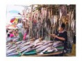 /album/galeria-de-fotos-coreia-do-sul/busan-lota-chagalch%c2%b4i-jpg/